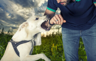 personal injury lawyer in las vegas