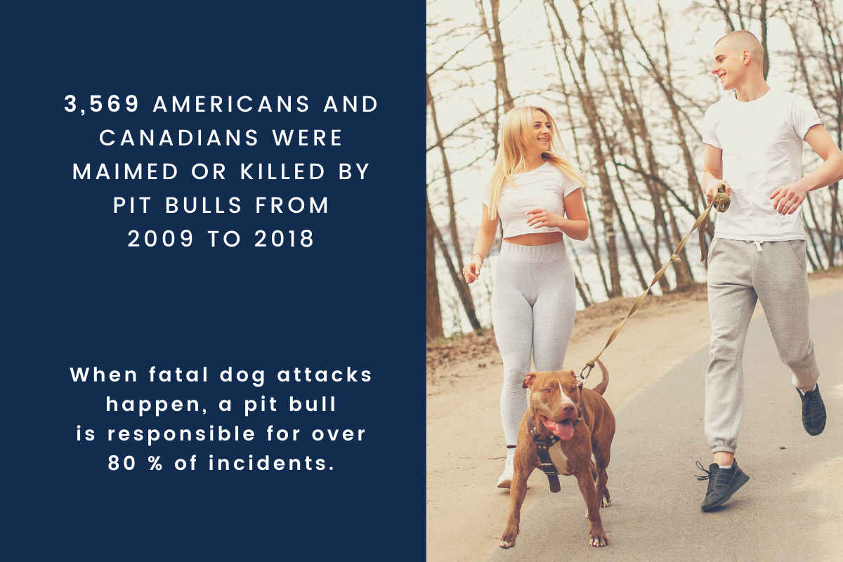 how many pitbull attacks were there in 2018