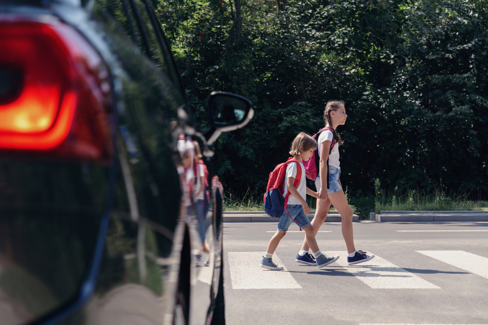 Crosswalk Safety Nevada: Examining Pedestrian Protection