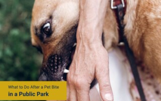 What to Do After a Pet Bite in a Public Park
